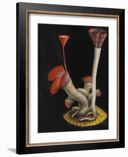 Marine Worms: Serpula-Philip Henry Gosse-Framed Giclee Print