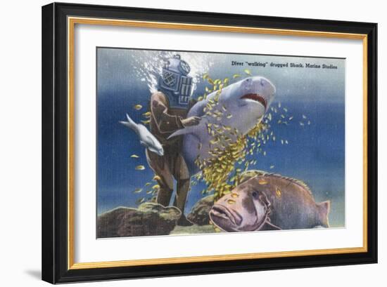 Marineland, Florida - Diver Moving Drugged Shark at Marine Studios-Lantern Press-Framed Art Print