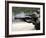 Marines Fire Joint Service Combat Shotguns-Stocktrek Images-Framed Photographic Print