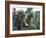 Marines Recovering Dead Comrade While under Fire During N. Vietnamese/Us Mil. Conflict-Larry Burrows-Framed Photographic Print