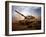 Marines Roll Down a Dirt Road On Their M1A1 Abrams Main Battle Tank-Stocktrek Images-Framed Photographic Print