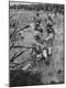 Photographic Print
