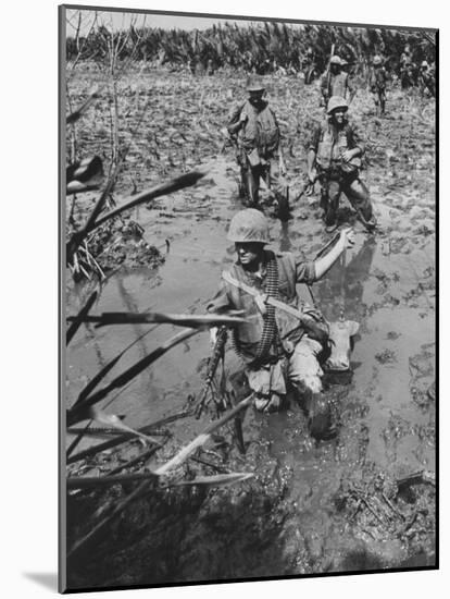 Marines Searching for Viet Cong in the Delta-null-Mounted Photographic Print