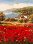 Village Poppies-Marino-Framed Art Print