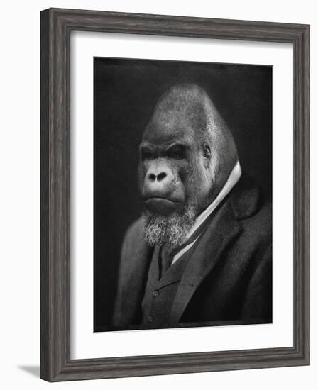 Mario Gorillini-Grand Ole Bestiary-Framed Art Print