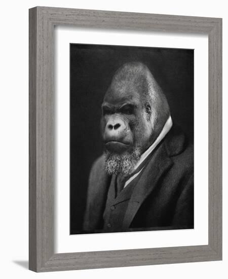 Mario Gorillini-Grand Ole Bestiary-Framed Art Print