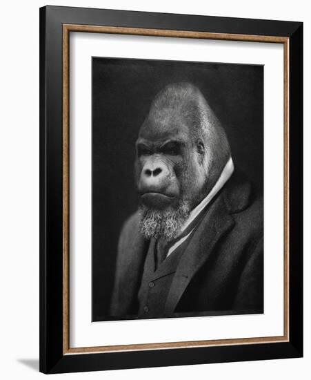 Mario Gorillini-Grand Ole Bestiary-Framed Art Print