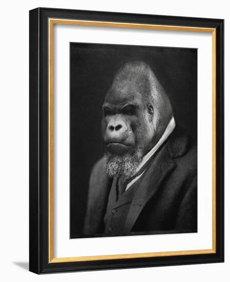 Mario Gorillini-Grand Ole Bestiary-Framed Art Print