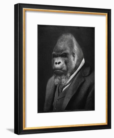 Mario Gorillini-Grand Ole Bestiary-Framed Premium Giclee Print