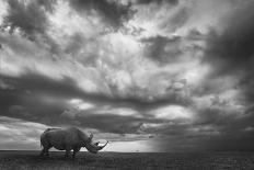 The Big Bull-Mario Moreno-Mounted Photographic Print