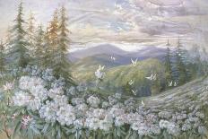 Rhododendrons and Butterflies-Marion Ellis Rowan-Premier Image Canvas