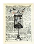 Bird Cage & Butterflies-Marion Mcconaghie-Art Print