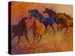 Stretched Canvas Print