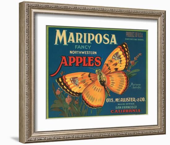 Mariposa Fancy Northwestern Apples-null-Framed Premium Giclee Print
