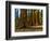 Mariposa Grove, Bachelor and Three Sisters, Yosemite-Anna Miller-Framed Photographic Print