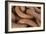 Maritime Chain I-Kathy Mahan-Framed Photographic Print