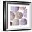 Maritime Still Life, Urchin Shell-Uwe Merkel-Framed Photographic Print