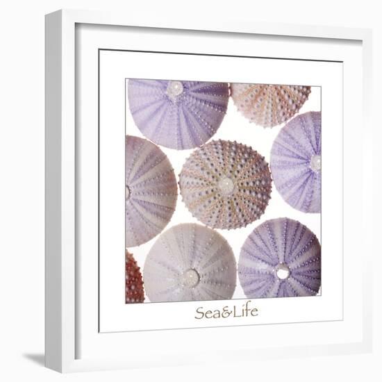 Maritime Still Life, Urchin Shell-Uwe Merkel-Framed Photographic Print