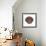 Maritime Still Life with Scallop-Uwe Merkel-Framed Photographic Print displayed on a wall