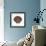 Maritime Still Life with Scallop-Uwe Merkel-Framed Photographic Print displayed on a wall