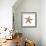 Maritime Still Life with Starfish-Uwe Merkel-Framed Photographic Print displayed on a wall