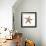 Maritime Still Life with Starfish-Uwe Merkel-Framed Photographic Print displayed on a wall