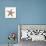 Maritime Still Life with Starfish-Uwe Merkel-Mounted Photographic Print displayed on a wall