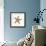 Maritime Still Life with Starfish-Uwe Merkel-Framed Photographic Print displayed on a wall