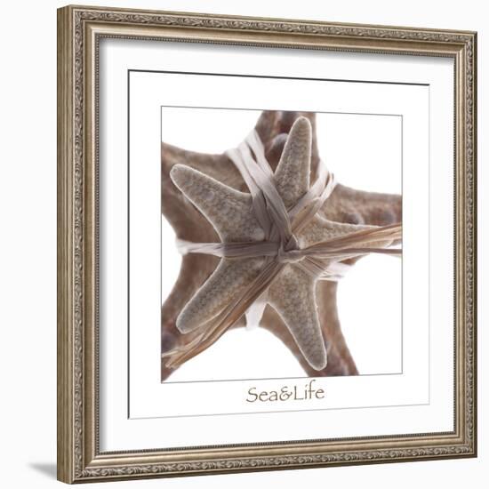 Maritime Still Life with Starfishes-Uwe Merkel-Framed Photographic Print