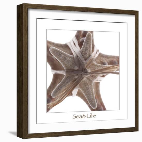 Maritime Still Life with Starfishes-Uwe Merkel-Framed Photographic Print