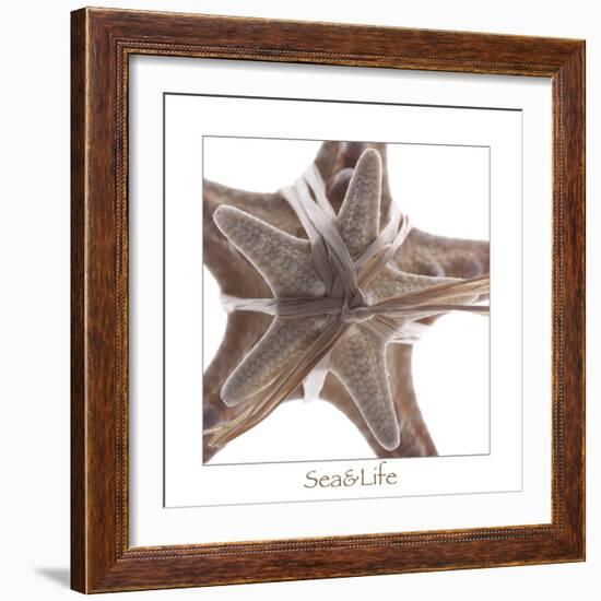 Maritime Still Life with Starfishes-Uwe Merkel-Framed Photographic Print