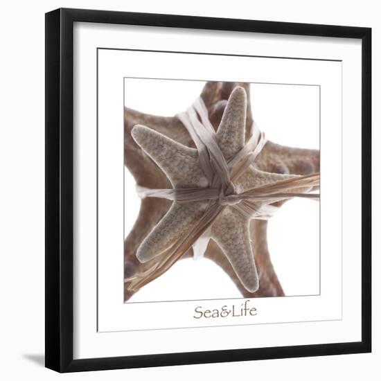 Maritime Still Life with Starfishes-Uwe Merkel-Framed Photographic Print