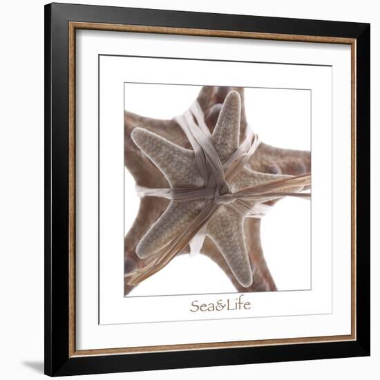 Maritime Still Life with Starfishes-Uwe Merkel-Framed Photographic Print