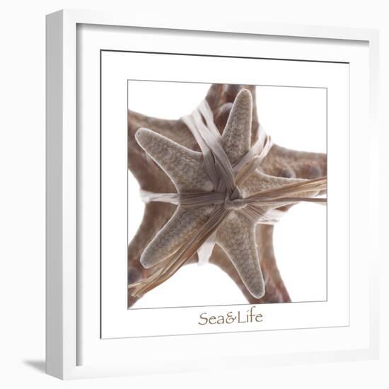 Maritime Still Life with Starfishes-Uwe Merkel-Framed Photographic Print