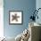Maritime Still Life with Starfishes-Uwe Merkel-Framed Photographic Print displayed on a wall