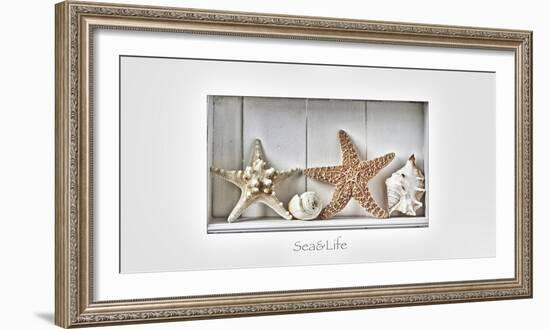 Maritime Still Life-Uwe Merkel-Framed Photographic Print