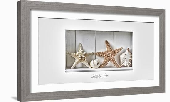 Maritime Still Life-Uwe Merkel-Framed Photographic Print