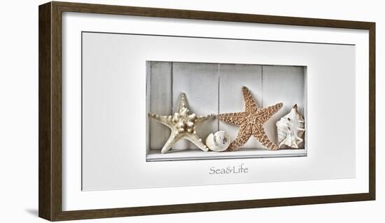 Maritime Still Life-Uwe Merkel-Framed Photographic Print