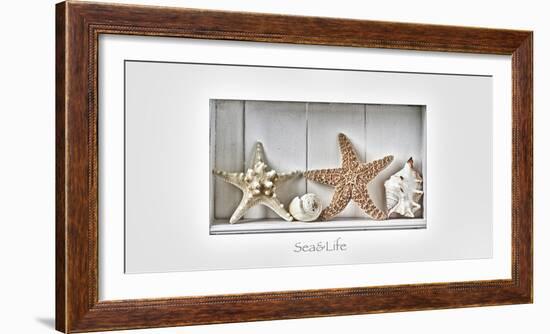 Maritime Still Life-Uwe Merkel-Framed Photographic Print