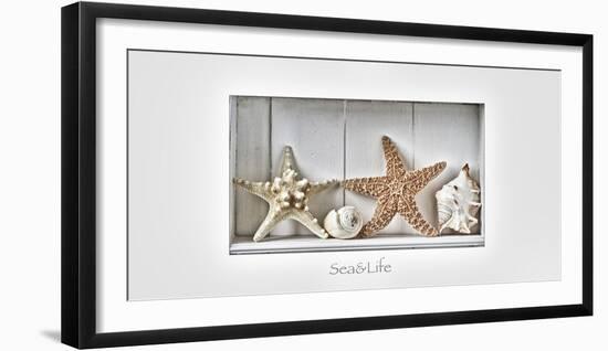 Maritime Still Life-Uwe Merkel-Framed Photographic Print