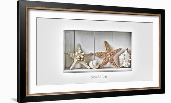 Maritime Still Life-Uwe Merkel-Framed Photographic Print