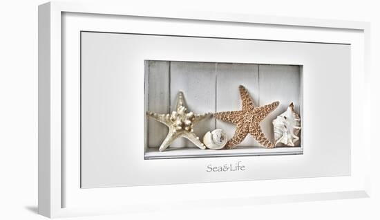 Maritime Still Life-Uwe Merkel-Framed Photographic Print