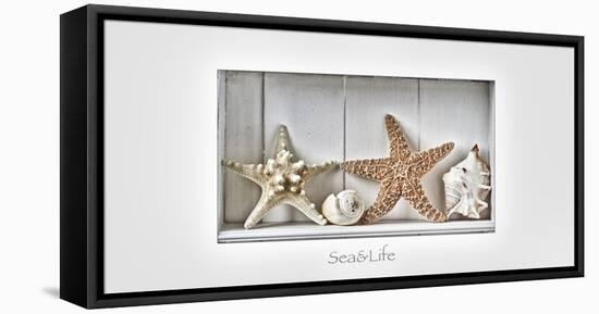 Maritime Still Life-Uwe Merkel-Framed Premier Image Canvas