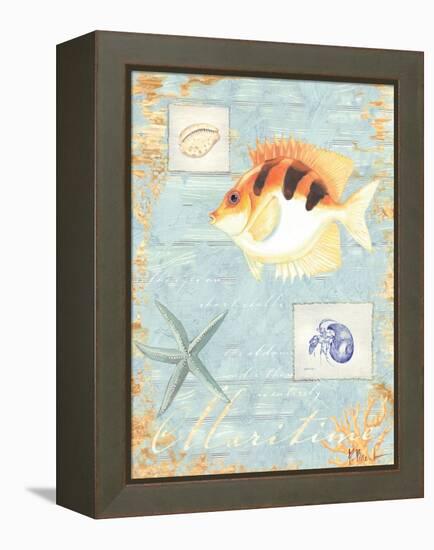 Maritime-Paul Brent-Framed Stretched Canvas