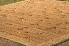 Aerial View of Harvest Fields with Combine in Poland-Mariusz Szczygiel-Photographic Print