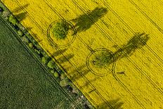 Aerial View of Harvest Fields in Poland-Mariusz Szczygiel-Photographic Print