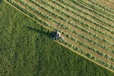 Aerial View of Harvest Fields with Combine in Poland-Mariusz Szczygiel-Photographic Print
