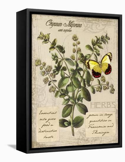 Marjoram-Kate Ward Thacker-Framed Premier Image Canvas