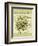 Marjoram-Kate Ward Thacker-Framed Giclee Print