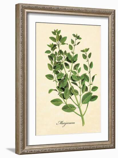 Marjoram-The Saturday Evening Post-Framed Giclee Print